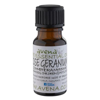 Rose Geranium Essential Oil (Pelargonium graveolens)